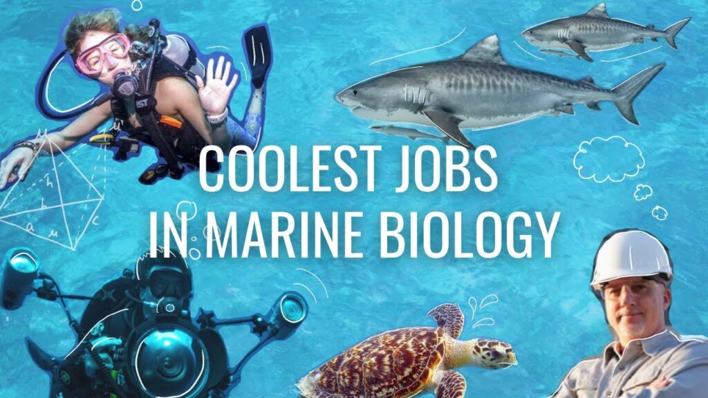 Exploring Jobs in Marine Biotechnology: A Friendly Dive 